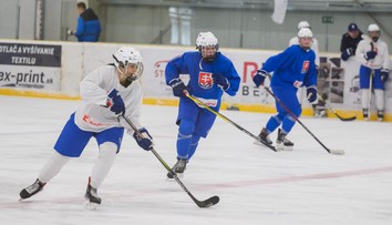 Olympiáda nebude, Rakúsko rozdrvilo naše hokejistky. Zúčastnili sme sa, skonštatoval tréner
