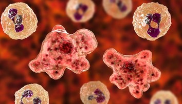 Smrtiaca vodná améba zaútočila na ďalšie dieťa. Osudným sa mu stalo kúpanie v jazere