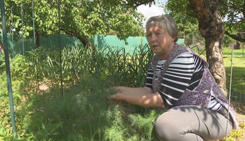 Celý život lieči zdravotné problémy bylinkami. Nielenže ich pestuje, ale píše o nich aj knihy