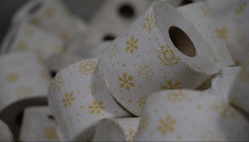 Kedysi ľudia používali kapustu, slamu či živé mačiatka. Dnes je toaletný papier normou, Slováci siahajú po luxuse