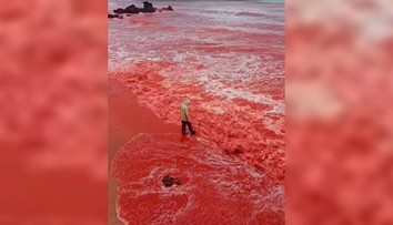 VIDEO: Ako výjav z biblie. More pri slávnej pláži zmenilo farbu na krvavočervenú