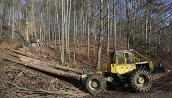 Horehronie v problémoch. Vláda pre šírenie lykožrúta nevylučuje vyhlásenie mimoriadnej situácie