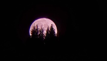 FOTO: Premeškali ste nočné vesmírne divadlo? Pozrite sa, ako Slováci zachytili úchvatný Jahodový spln
