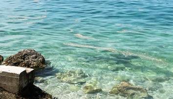 VIDEO: Turisti zúria. More v preslávenom chorvátskom letovisku zaplavili výkaly