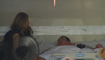 Morbídne obézny Španiel váži vyše 350 kíl. Prevážať ho museli nákladiakom