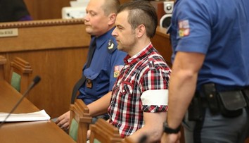 Kramný neplánoval zabiť  svoju dcéru Klárku. K vražde sa priplietla omylom, tvrdí súdny lekár