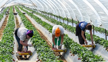 Budú aj slovenskí pracovníci v Británii na špeciálnych zoznamoch? Je to pravdepodobné