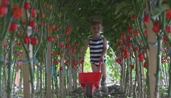 Máte radi čili papričky? Na Slovensku nájdete aj tie najštipľavejšie na svete