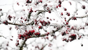 V noci udrú silné mrazy. V niektorých okresoch až mínus 19 stupňov (MAPA)