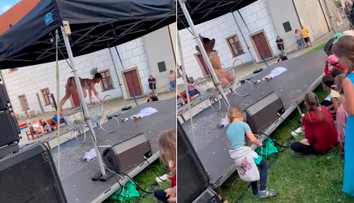 VIDEO: Organizátor slávností vína v českom Třebíči lákal na bohatý program pre deti. Tie nakoniec sledovali striptíz