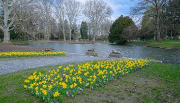 Pýcha Stupavy dostala vynovenú tvár. Magickú atmosféru kaštieľskeho parku umocňuje zrkadlová vodná hladina