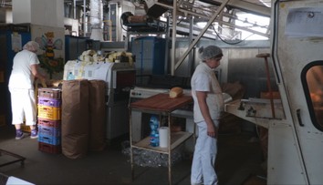 Zamestnanci verejnej správy mali dostať 800-eurové odmeny. Vláda dala pokyn, no peniaze neposlala