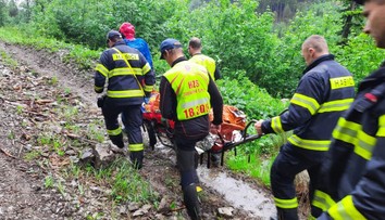 Dva útoky medveďa v priebehu pár dní. Zistili sme, ako sú na tom zranení muži
