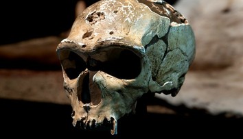 Objav, ktorý mení predstavu o praveku. Moderní ľudia žili po boku neandertálcov tisícky rokov