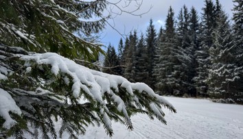 SHMÚ upozornil na snehové jazyky a záveje na západe Slovenska