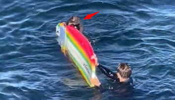 VIDEO: Kalifornských surfistov šikanuje morská vydra. Násilne im kradne surfovacie dosky