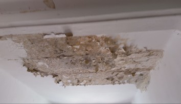 Bratislavskú nemocnicu roky pohlcuje pleseň. Hygienik hovorí o neprípustnom stave, ktorý ohrozuje zdravie