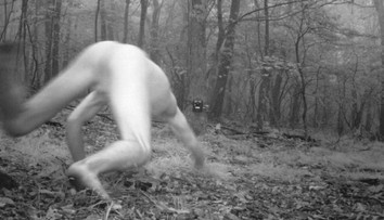 Čech, ktorý sa zmenil na tigra, je iba výmyslom Poliakov. Fotky vznikli v lesoch vo Virgínii