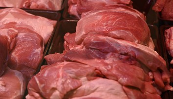 Je bezpečné konzumovať sivé mäso? Odborník má jednoznačnú odpoveď