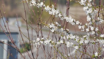 Vieme, aké bude počasie na Veľkú noc. Teploty ako na hojdačke, v tieto dni nás čaká 25 °C