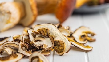 Nie všetky huby sa dajú sušiť. Niektoré strácajú chuť, iné môžu byť nebezpečné