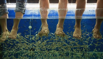 Pedikúra s rybkami sa premenila na horor: Žena skončila bez prstov