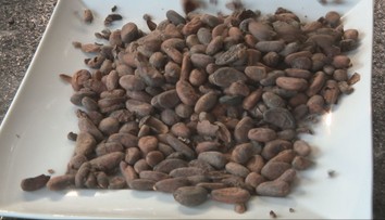 Pred rokom rekordne zdražela, teraz sa karta obrátila. Obľúbená pochúťka bude cenovo dostupnejšia