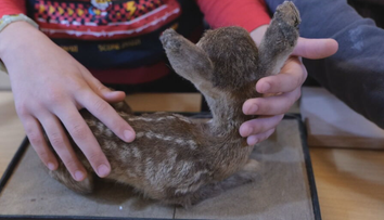 Končekmi prstov menia svoj pohľad na svet. Nevidiace deti zo školy v Levoči dostali originálny mikulášsky darček