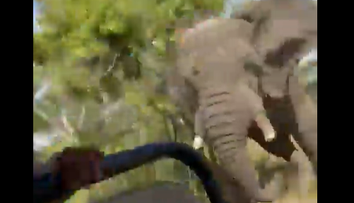 VIDEO: Smrtiaci útok slona na autobus plný turistov. Jedna žena jeho besnenie neprežila