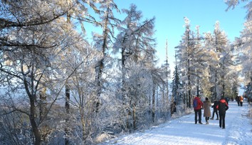 Slovensko čaká nová snehová nádielka. Na Nový rok prichádza arktický vzduch, bude poriadne mrznúť