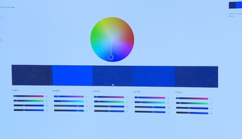 Je optimistická a má upokojovať dušu. Odborníci vybrali farbu roka 2020