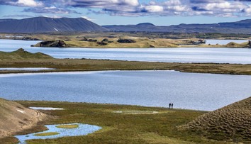 Na Islande sú v šoku. Na ostrove sa objavil hmyz, ktorý tam nikdy nevideli