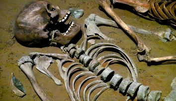 Nenápadné slovenské mesto ukrýva záhadu starú 7-tisíc rokov. Bezhlavé telá zaujali aj prestížny časopis