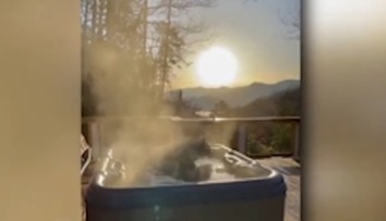 Muža na chate prekvapil medveď vo vírivke. Pozrite si, ako si užíval kúpeľ