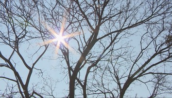 Slovensko zažíva nezvyčajnú jar plnú teplého počasia. Ovocinári a včelári sa však pripravujú na najhoršie