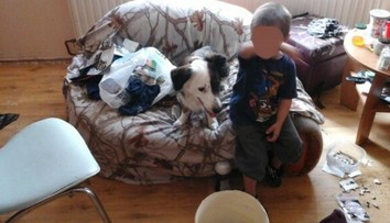 Vystrašený chlapec volal z okna matku. Policajti boli zhrození, čo našli v byte