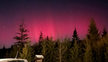 FOTO: Intenzita prekvapila aj odborníkov. Slováci zachytili polárnu žiaru na dychberúcich záberoch