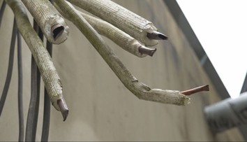 Partia recidivistov kradla meď v Trenčianskych Tepliciach. Muž, ktorý ušiel, bol už 19-krát trestaný