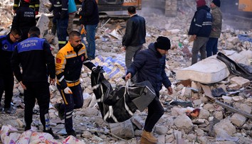 Spod trosiek sa ozýva zúfalé volanie o pomoc. Nikto však neprichádza