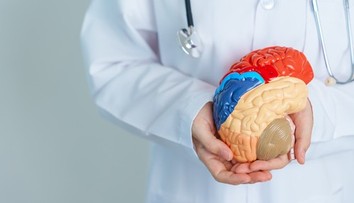 Chcete si udržať pamäť? O mozog sa treba starať už po tridsiatke, tieto signály neignorujte