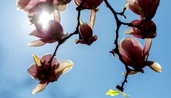 Počasie sa mení zo dňa na deň. Slovensko čaká dážď, sneh aj takmer letné teploty