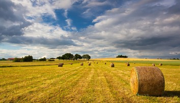 Leto bude oveľa hrozivejšie, ako sme čakali. Meteorológovia naznačili, čo nás čaká