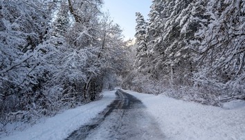 VIDEO: Slovensko sa prebudilo do bieleho rána. Sneh zasypal aj mnohé dediny