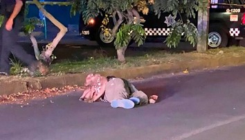 Záber, ktorý dojme každého. Verný pitbul sa nepohol od svojho mŕtveho pána