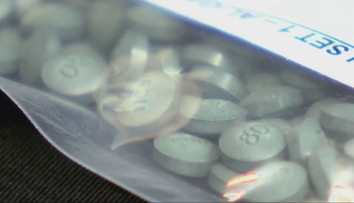 Európa pod tlakom syntetických drog: Čierny trh chrlí stovky nových látok. Odborníci sa obávajú ich príchodu na Slovensko