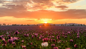 Zvraty počasia na Slovensku: V regiónoch dochádza k mimoriadnym teplotným rozdielom. Zasiahne nás saharský prach