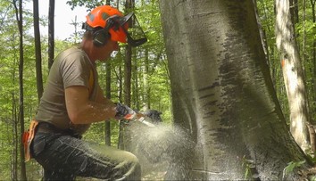 Jeden z najväčších štátnych zamestnávateľov bude hromadne prepúšťať. O prácu prídu stovky zamestnancov