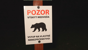 Nazývajú ho slovenský Blair Witch. Vstúpili sme do lesa plného nevysvetliteľných zmiznutí