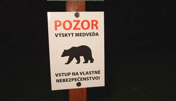 Nazývajú ho slovenský Blair Witch. Vstúpili sme do lesa plného nevysvetliteľných zmiznutí