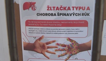 Žltačka na juhu Slovenska nepoľavuje. Hygienici museli rázne zasiahnuť, jeden z prípadov preveruje aj polícia